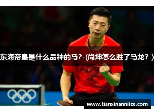 东海帝皇是什么品种的马？(尚坤怎么胜了马龙？)