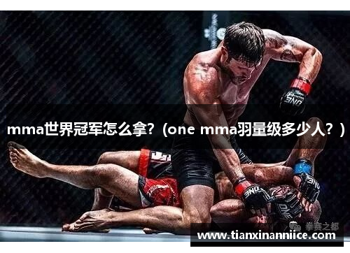 mma世界冠军怎么拿？(one mma羽量级多少人？)